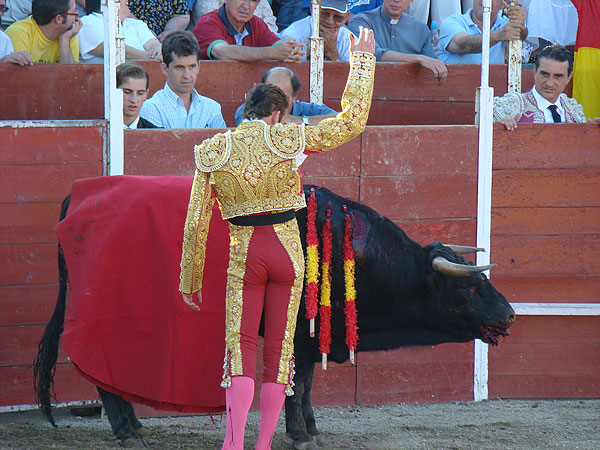 Toros_Colmenarejo_1