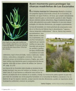 Artículo Quercus