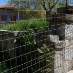 Casa de la Juventud
