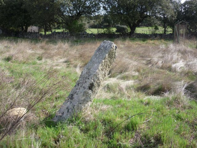 jpg102