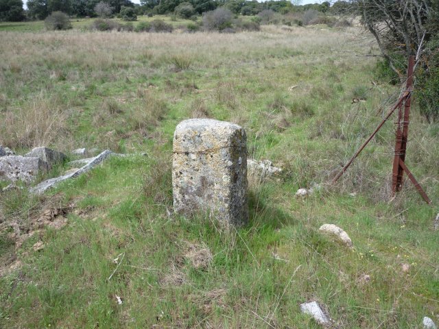 jpg104