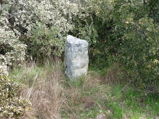 jpg105
