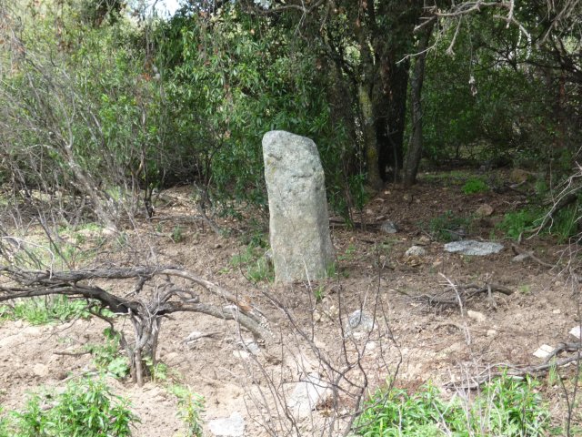 jpg106