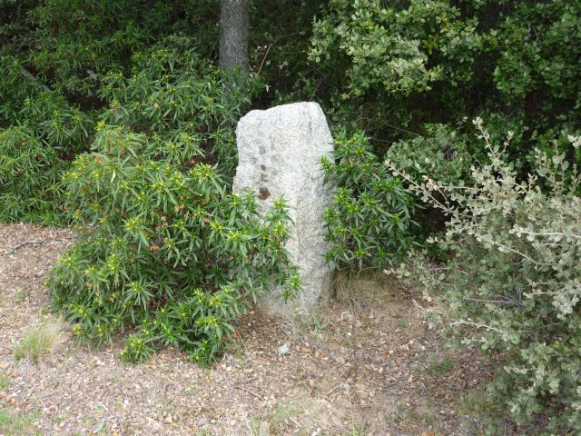 jpg107