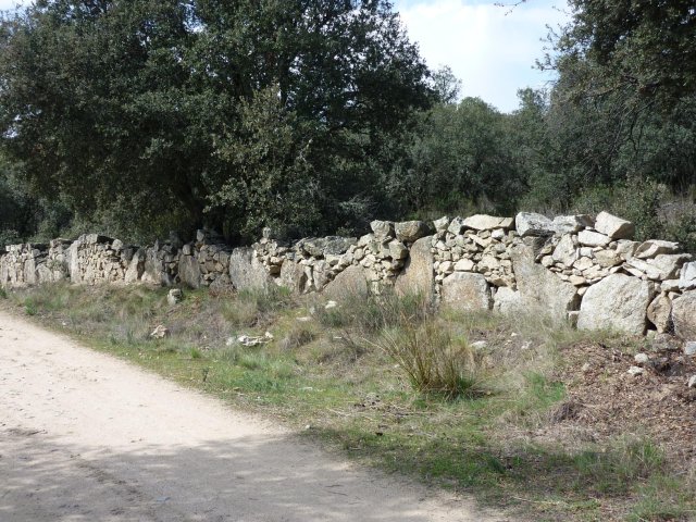 jpg113