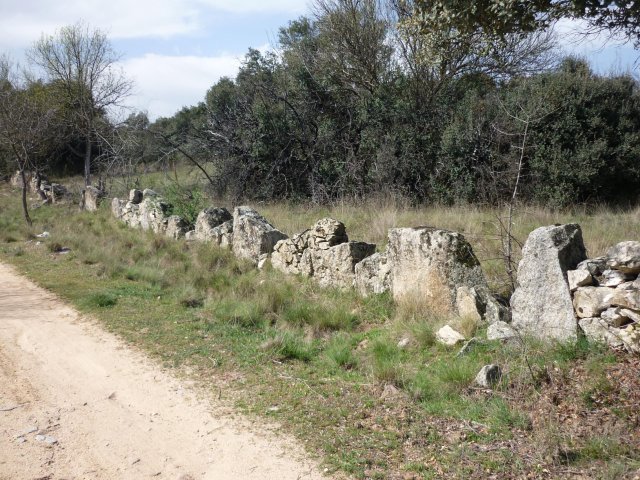jpg115