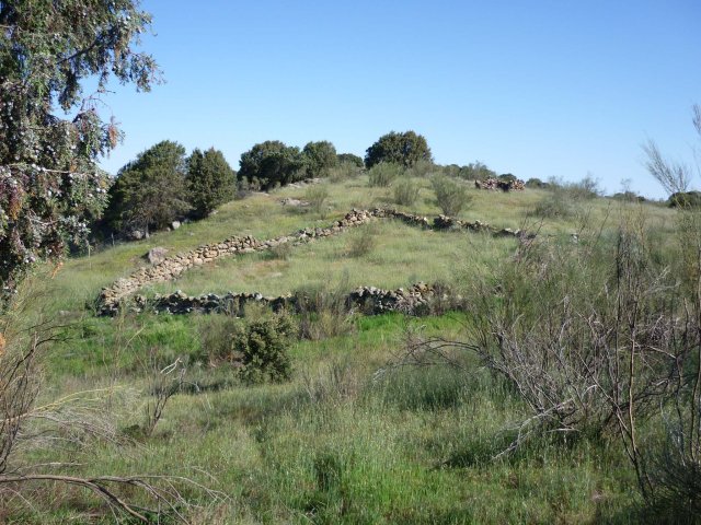 jpg118