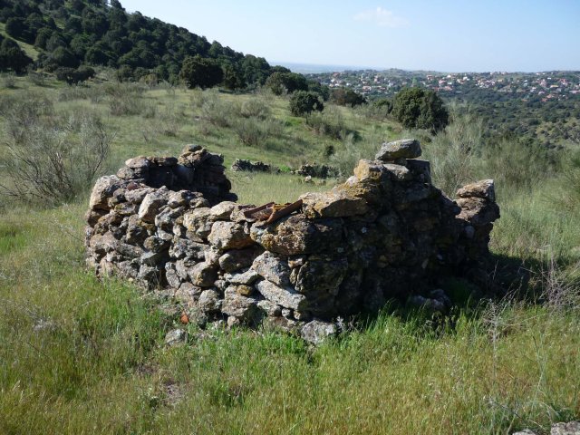 jpg120