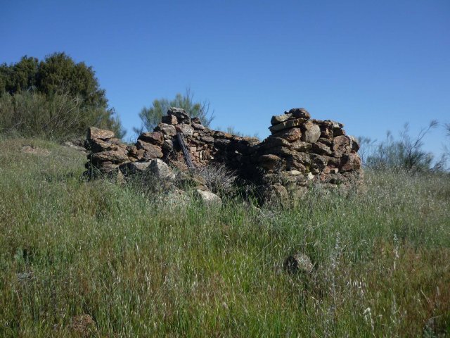 jpg121