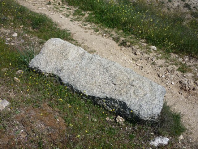 jpg124