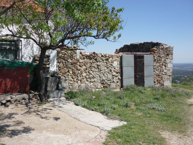 jpg131
