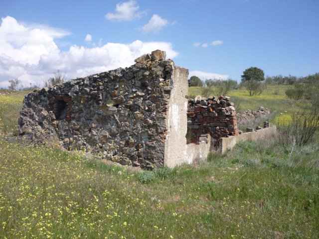 jpg136