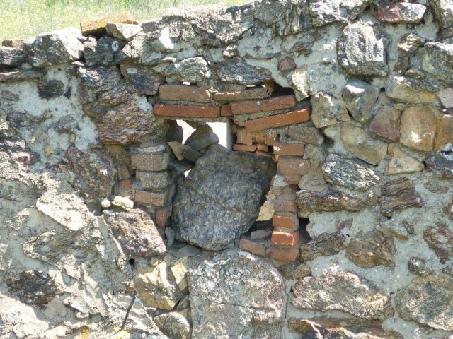 jpg137