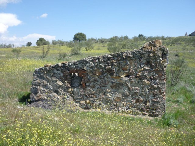 jpg138