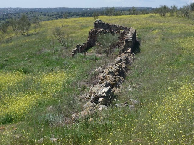 jpg140