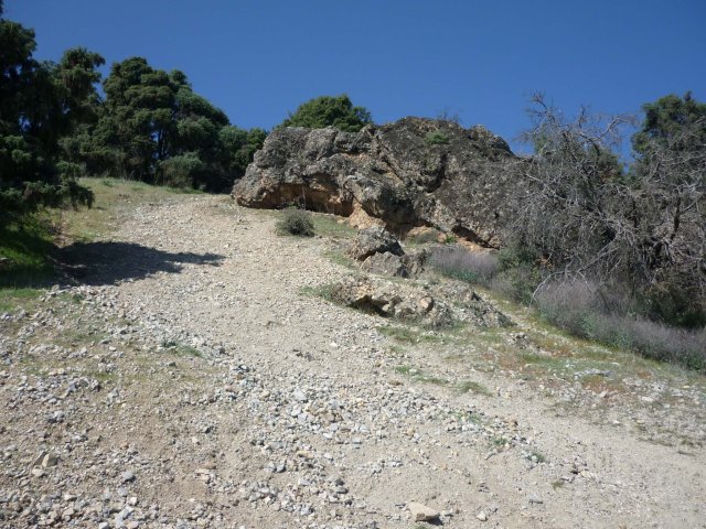 jpg147