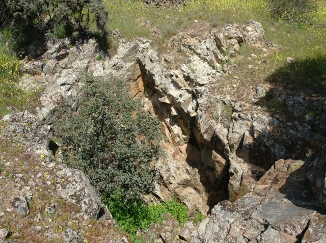 jpg157