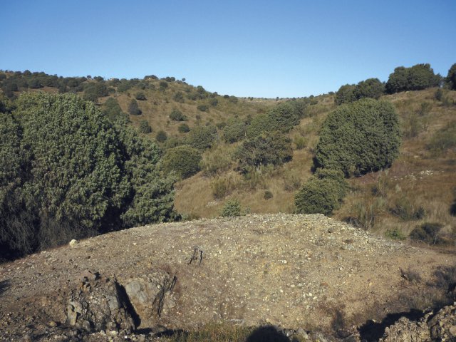 jpg168