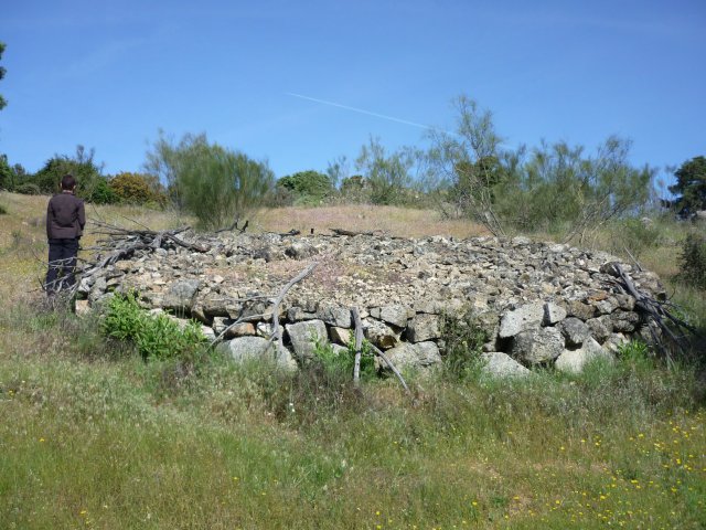 jpg176