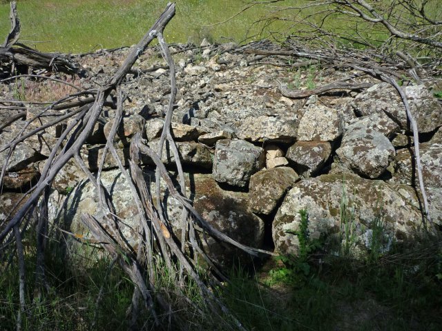 jpg177