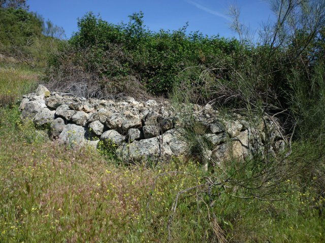 jpg179