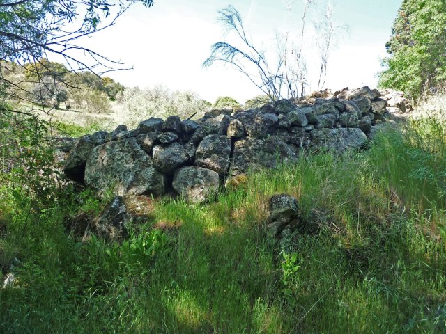 jpg181