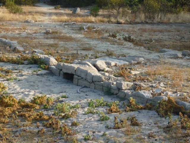 jpg186