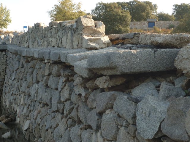 jpg196