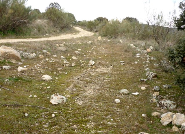 jpg202