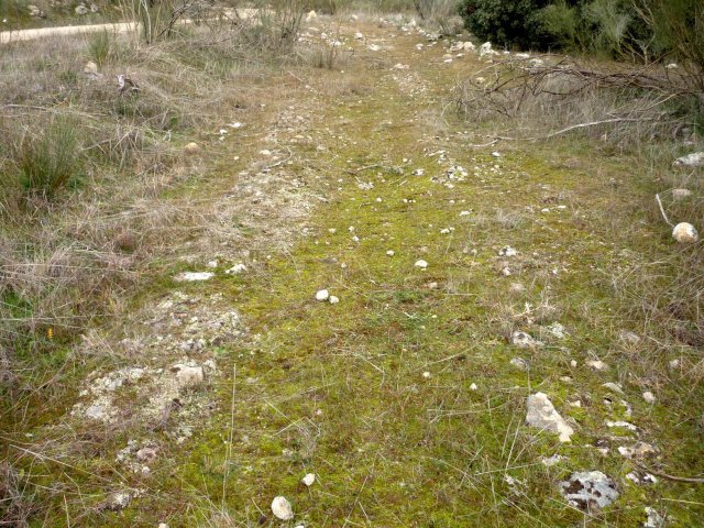 jpg203