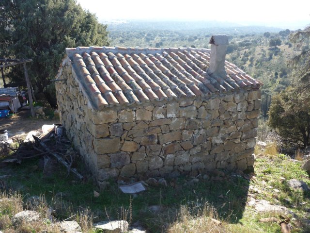jpg208