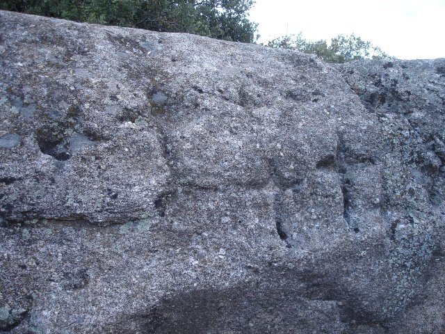 jpg231