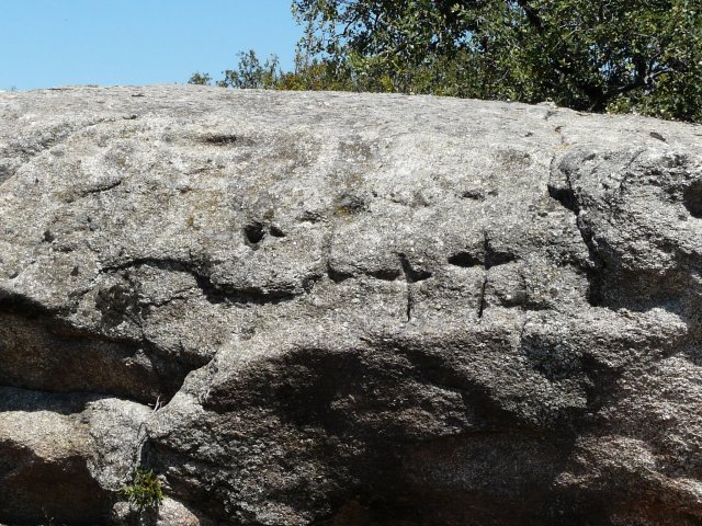 jpg233