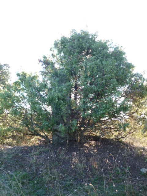 jpg56