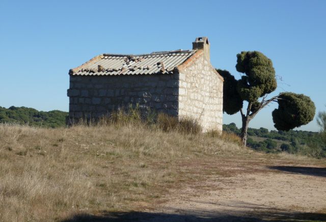 jpg59