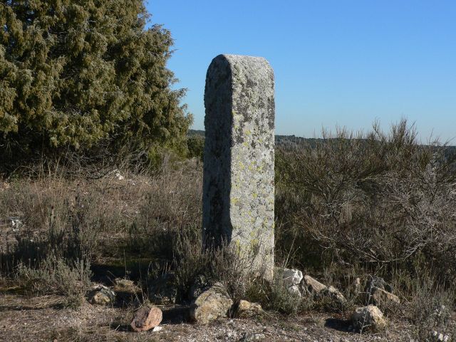 jpg65