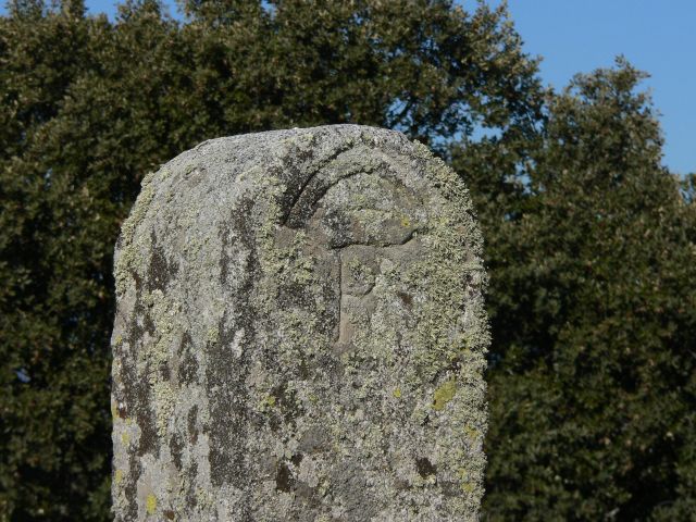 jpg66