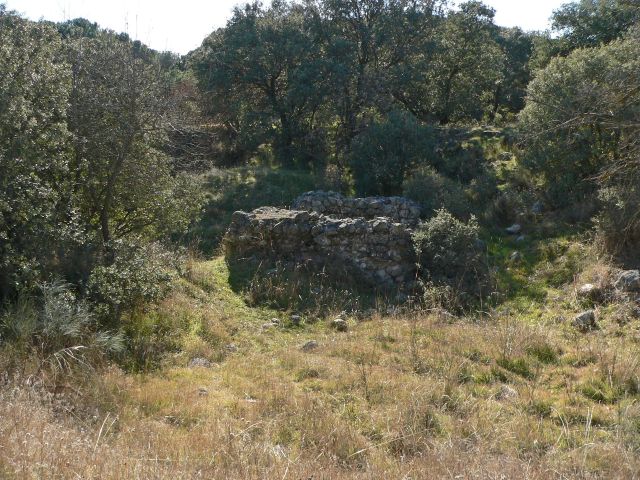 jpg77