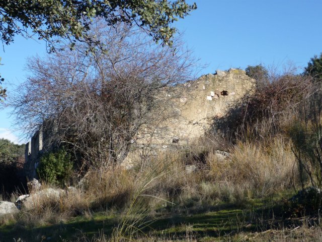 jpg97